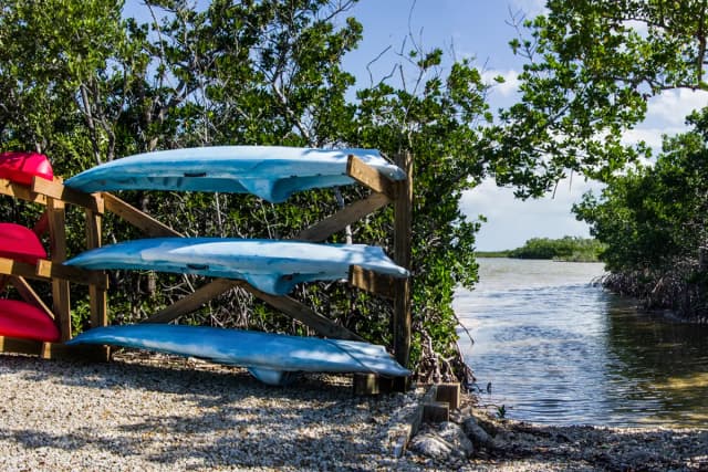Kayaks stored on a wooden rack beside a calm waterway surrounded by trees.