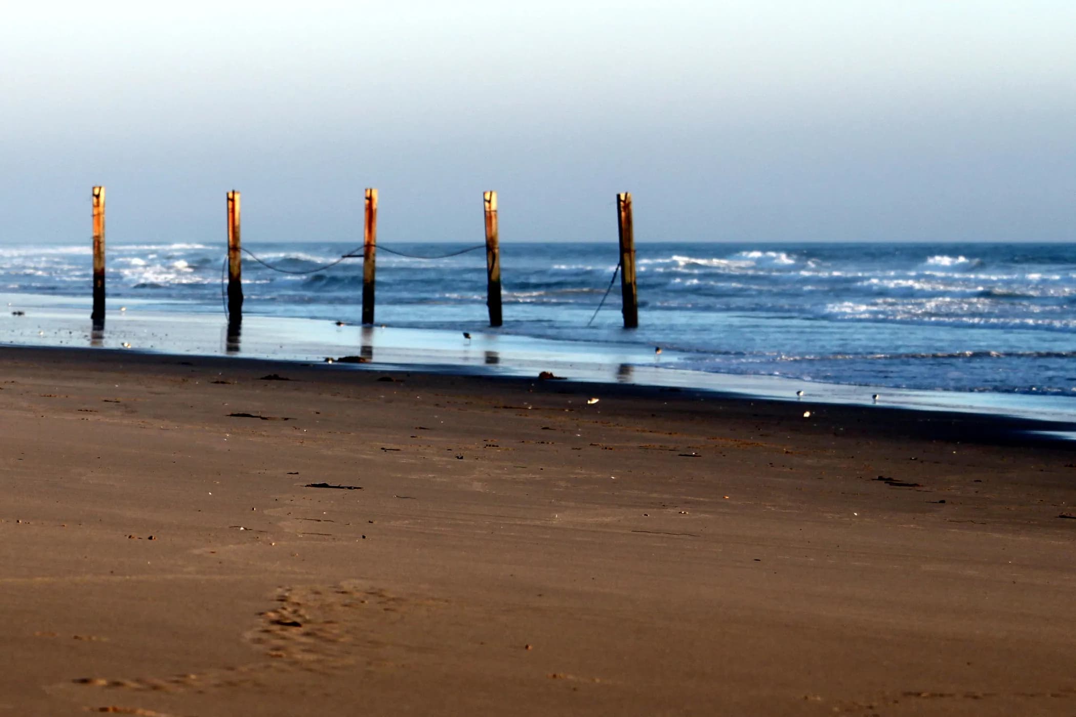 Weathered wooden posts standing in shallow ocean water along a sandy beach.